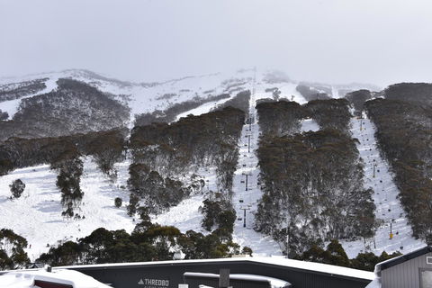 Pure Chalet Thredbo - Accommodation Mermaid Beach 6