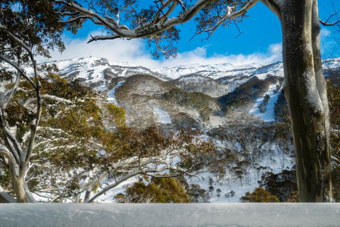 Pure Chalet Thredbo - Accommodation Mermaid Beach 17