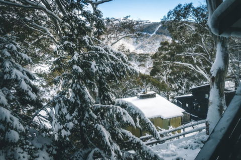 Pure Chalet Thredbo - Accommodation Mermaid Beach 34