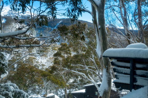 Pure Chalet Thredbo - Accommodation Mermaid Beach 30