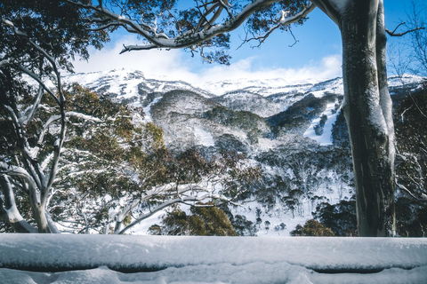 Pure Chalet Thredbo - Accommodation Mermaid Beach 2