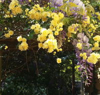 Bowral Road Bed and Breakfast - Accommodation Mermaid Beach