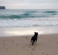 Breakers at Mudjimba Beach - Accommodation Mermaid Beach