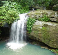 Buderim Forest Hideaway - Accommodation Mermaid Beach