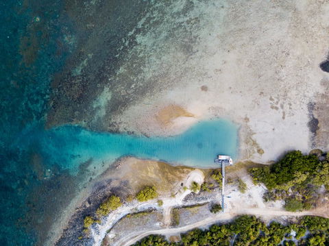 Camp Island Lodge - Accommodation Mermaid Beach 1