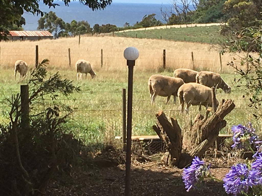 Table Cape TAS Accommodation Mermaid Beach