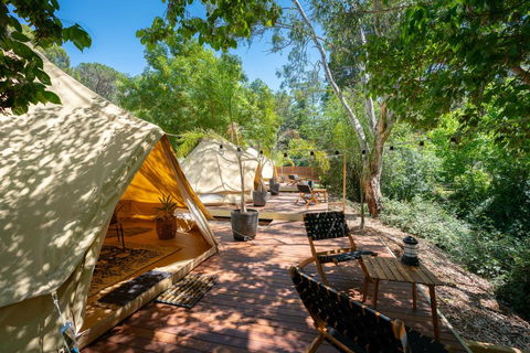 Castlemaine Gardens Luxury Glamping - Accommodation Mermaid Beach 0