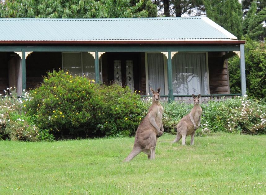 Bell NSW Accommodation Mermaid Beach