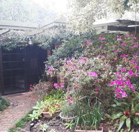 Charming country house close to Grafton - Accommodation Mermaid Beach