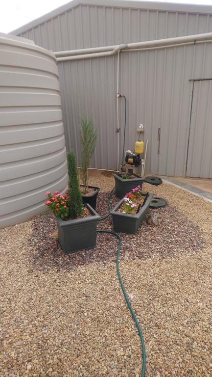 Chrissie's Dongara - Accommodation Mermaid Beach 2