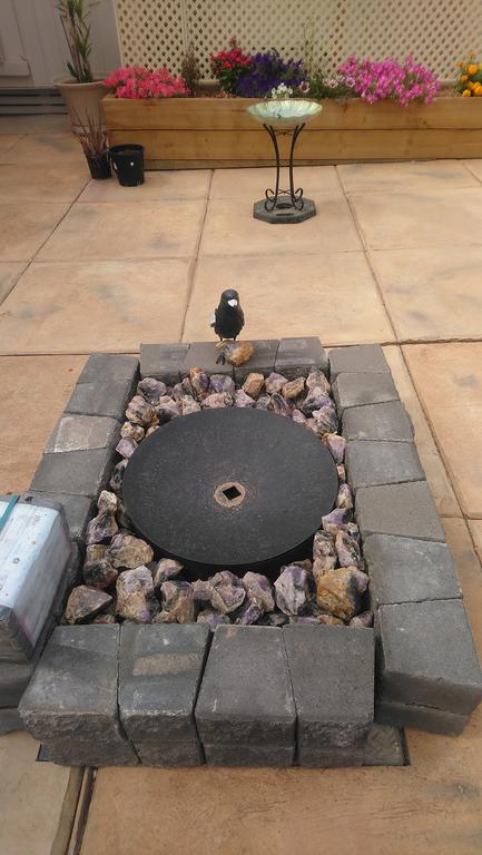 Chrissie's Dongara - Accommodation Mermaid Beach 3