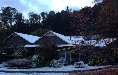 Crossways Country Inn - Accommodation Mermaid Beach 3