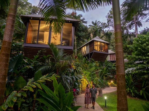 Daintree Ecolodge - Accommodation Mermaid Beach 0