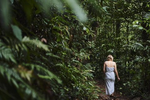 Daintree Ecolodge - Accommodation Mermaid Beach 2