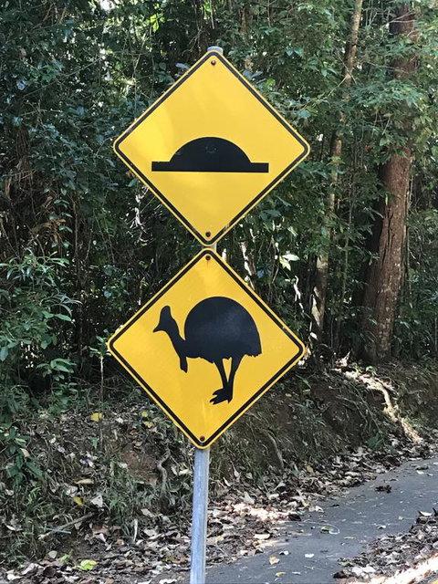 Daintree Magic - Accommodation Mermaid Beach 1