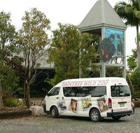 Daintree Wild Bed  Breakfast - Accommodation Mermaid Beach
