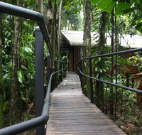 Daintree Wilderness Lodge - Accommodation Mermaid Beach