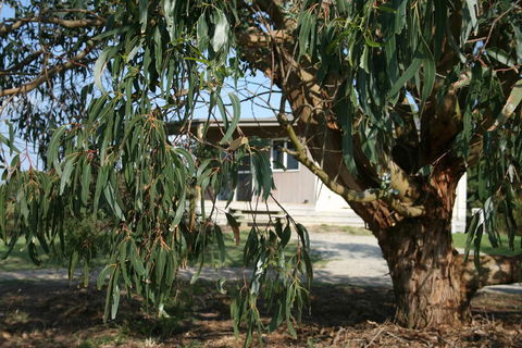 Driftwood Villas - Accommodation Mermaid Beach 3