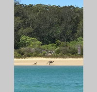 FAIRVIEW COTTAGE 25B - Waterfront accommodation - Accommodation Mermaid Beach