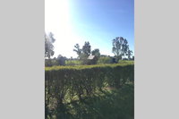 Book Benalla Accommodation Vacations Accommodation Mermaid Beach Accommodation Mermaid Beach