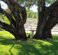 Farm Stay Studio - Accommodation Mermaid Beach