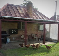 Fernbrook Cottage - Accommodation Mermaid Beach