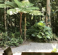 Forest Views Daintree - Accommodation Mermaid Beach