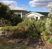 Forrest Willy Wagtail Studio - Accommodation Mermaid Beach
