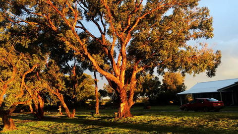 French Island Cottage - Accommodation Mermaid Beach 1