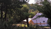 Book Zeehan Accommodation Vacations Accommodation Mermaid Beach Accommodation Mermaid Beach