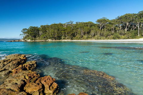 Gorgeous Beachside Cottage Jervis Bay - Accommodation Mermaid Beach 0