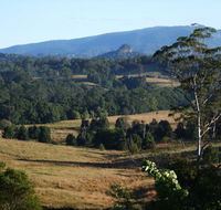 Grey Gum Lodge - Accommodation Mermaid Beach