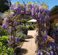 Gumtree House Montville - Accommodation Mermaid Beach