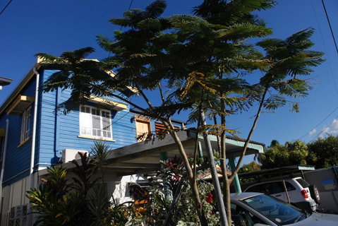 Happytourcairns Sharehouse - Accommodation Mermaid Beach 0