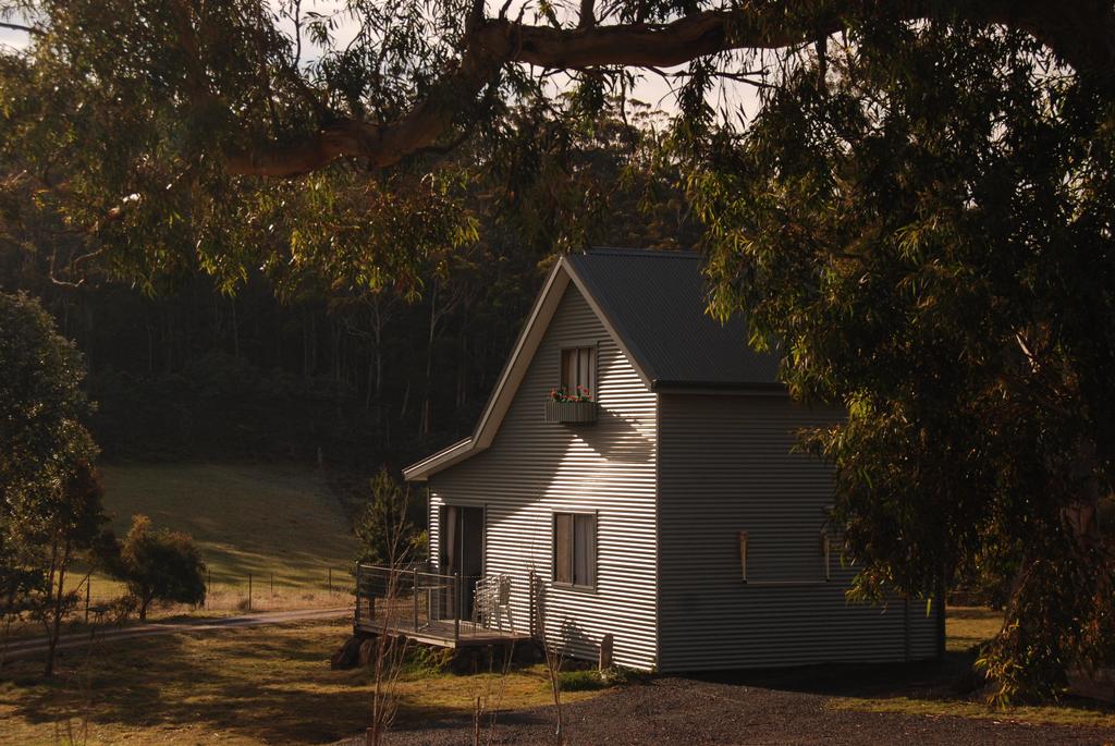 Black Hills TAS Accommodation Mermaid Beach