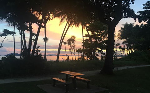 Jackaroo Treehouse Mission Beach - Accommodation Mermaid Beach 3