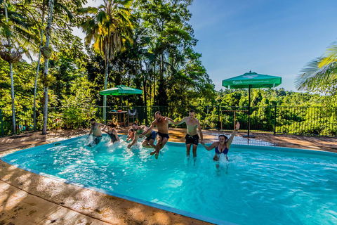 Jackaroo Treehouse Mission Beach - Accommodation Mermaid Beach 1