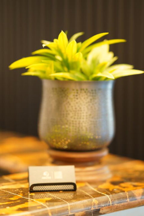 Jephson Hotel & Apartments - Accommodation Mermaid Beach 3