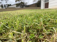 Book Karoonda Accommodation Vacations Accommodation Mermaid Beach Accommodation Mermaid Beach