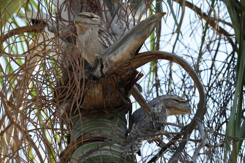 Kununurra Lakeside Resort - Accommodation Mermaid Beach 2