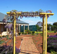 Lavendale Farmstay and Cottages York - Accommodation Mermaid Beach