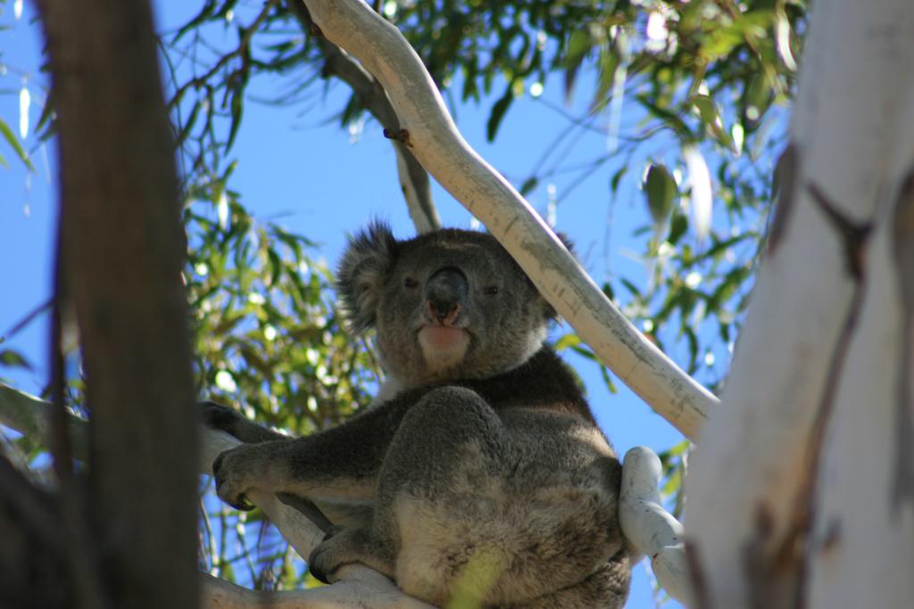 Vale Park SA Accommodation Mermaid Beach