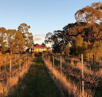 Lillicur Vineyard BB - Accommodation Mermaid Beach