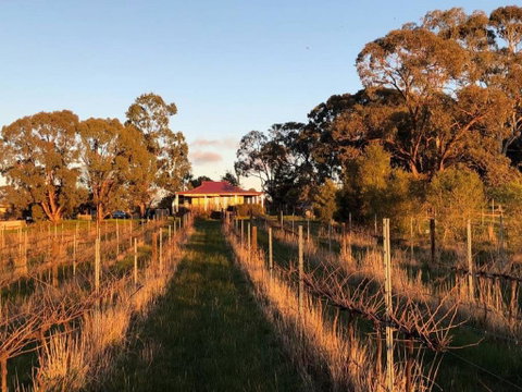 Lillicur Vineyard B&B - Accommodation Mermaid Beach 0