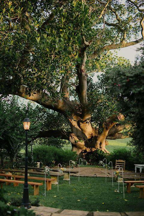 Maddies Of Bolwarra - Accommodation Mermaid Beach 3