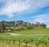 McLaren Vale Getaways - Accommodation Mermaid Beach