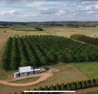 Millthorpe Truffles - Gorgeous getaway for 2 - Accommodation Mermaid Beach