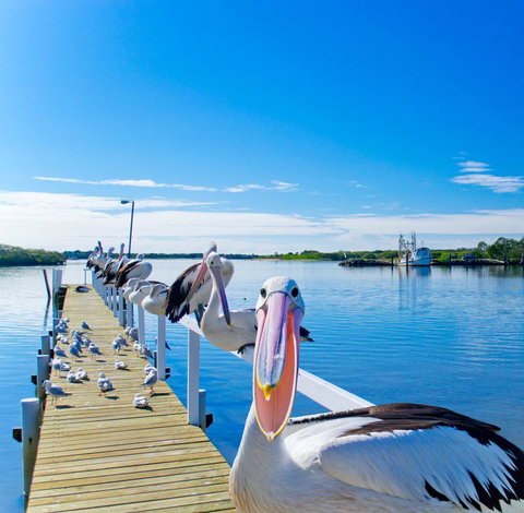Moby Dick Waterfront Resort Motel - Accommodation Mermaid Beach 0