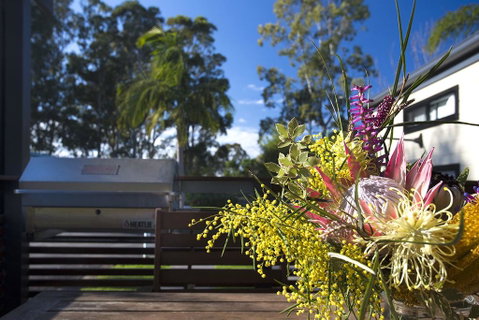 Mollymook Caravan Park - Accommodation Mermaid Beach 2