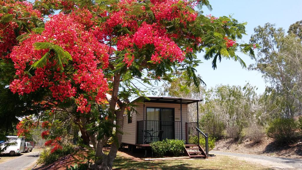Machine Creek QLD Accommodation Mermaid Beach